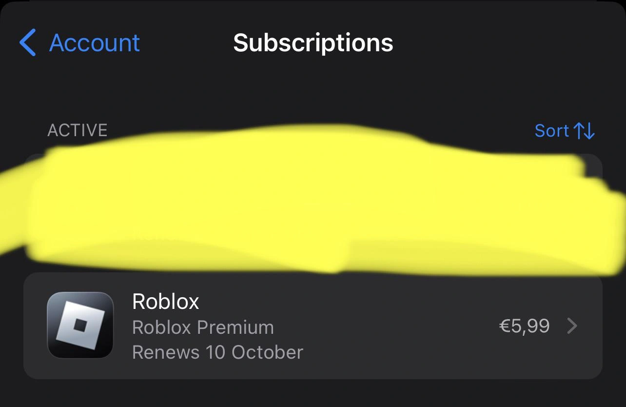 Der Abonnementbildschirm zeigt die aktive Roblox Premium-Verlängerung am 10. Oktober für 5,99 € mit unscharfen Benutzerinformationen an.